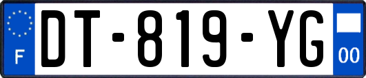 DT-819-YG