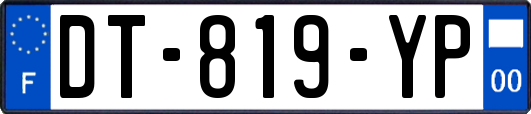 DT-819-YP