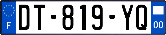 DT-819-YQ