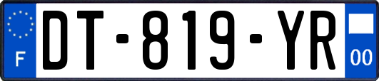 DT-819-YR