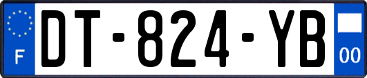 DT-824-YB