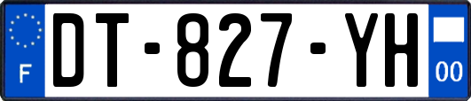 DT-827-YH
