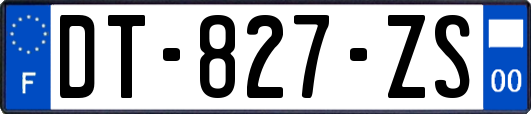 DT-827-ZS
