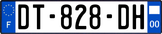 DT-828-DH