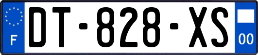 DT-828-XS
