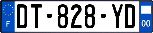 DT-828-YD