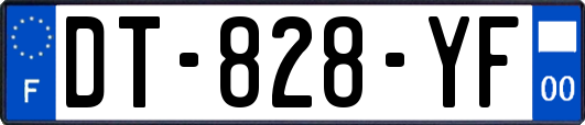 DT-828-YF