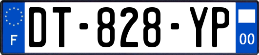 DT-828-YP