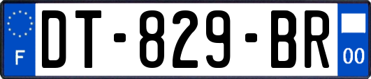 DT-829-BR