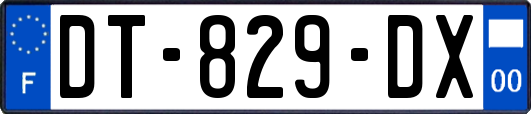 DT-829-DX