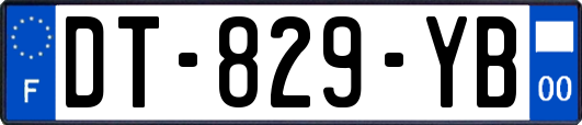 DT-829-YB