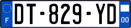 DT-829-YD
