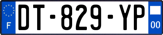 DT-829-YP