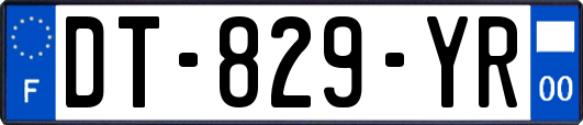 DT-829-YR