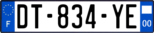 DT-834-YE