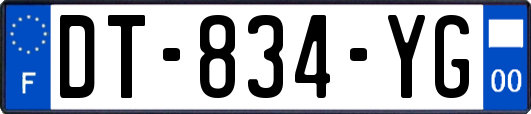 DT-834-YG