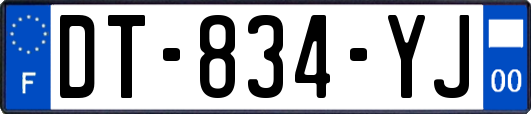 DT-834-YJ