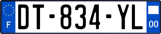 DT-834-YL