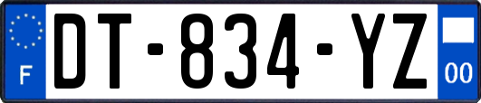 DT-834-YZ
