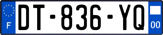 DT-836-YQ
