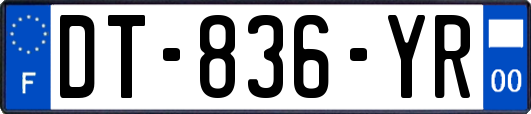 DT-836-YR