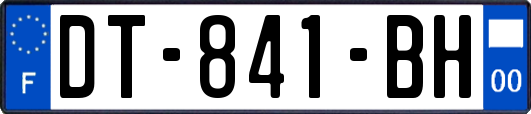 DT-841-BH