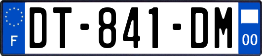 DT-841-DM