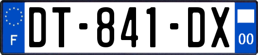 DT-841-DX