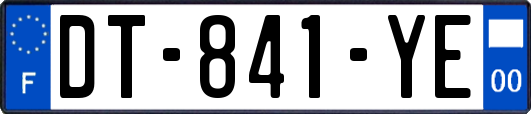 DT-841-YE