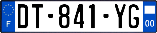 DT-841-YG