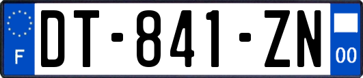 DT-841-ZN