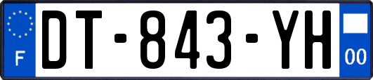 DT-843-YH