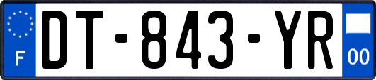 DT-843-YR