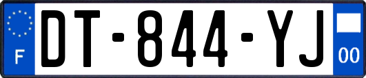 DT-844-YJ