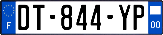 DT-844-YP