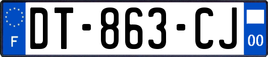 DT-863-CJ