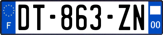DT-863-ZN