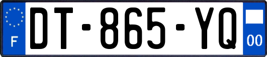 DT-865-YQ