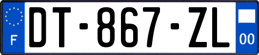 DT-867-ZL