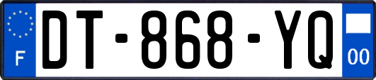 DT-868-YQ