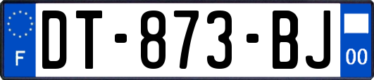 DT-873-BJ