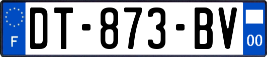 DT-873-BV