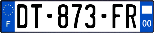 DT-873-FR