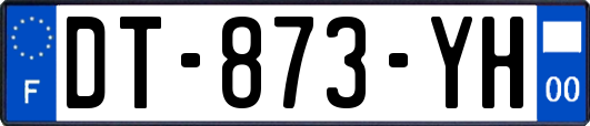 DT-873-YH