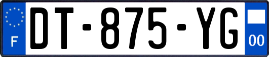 DT-875-YG