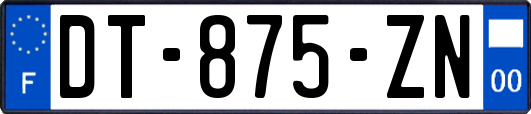 DT-875-ZN