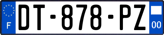 DT-878-PZ