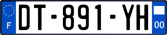 DT-891-YH
