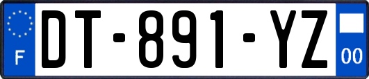 DT-891-YZ