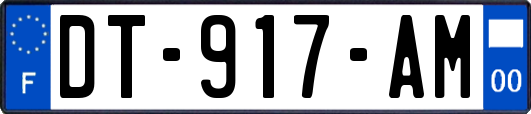 DT-917-AM